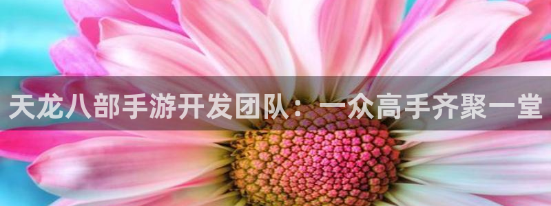 三牛娱乐官网登录入口下载手机版：天龙八部手游开发团队：一众高