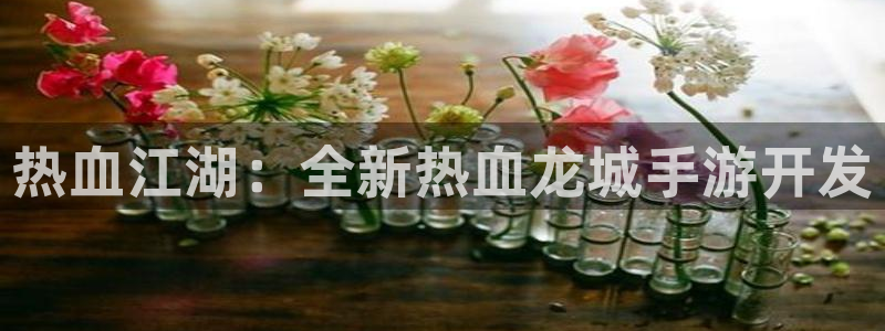 三牛娱乐哪里去了：热血江湖：全新热血龙城手游开发