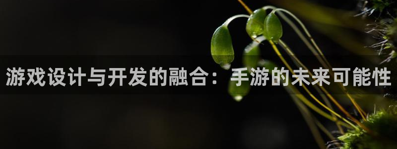 三牛娱乐网站：游戏设计与开发的融合：手游的未来可能性
