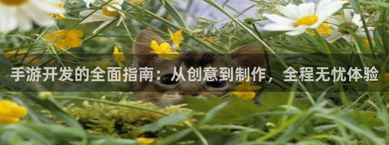 三牛娱乐官网登录入口下载安装：手游开发的全面指南：从创意到制