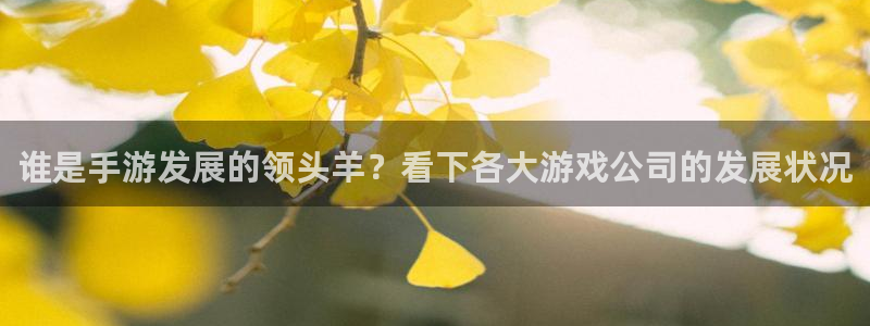 三牛娱乐哪里去了：谁是手游发展的领头羊？看下各大游戏公司的发