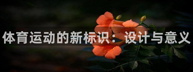 oety欧亿