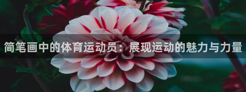 oety欧亿：简笔画中的体育运动员：展现运动的魅力与力量