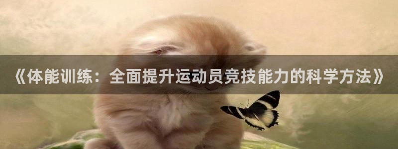 oety欧亿