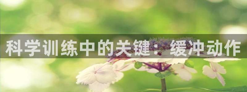 oety欧亿
