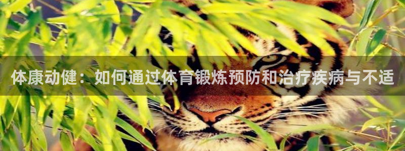 oety欧亿