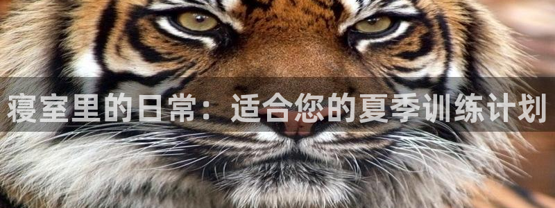 oety欧亿：寝室里的日常：适合您的夏季训练计划