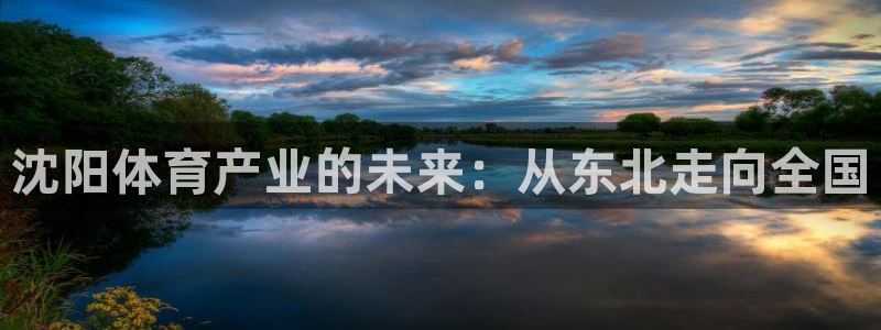 oety欧亿：沈阳体育产业的未来：从东北走向全国