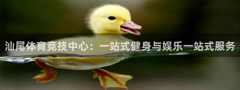 oety欧亿：汕尾体育竞技中心：一站式健身与娱乐一站式服务