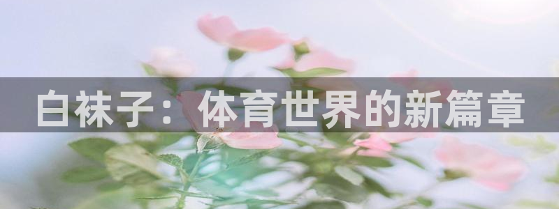 oety欧亿：白袜子：体育世界的新篇章